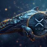 انباشت ۱۴۰ میلیون ریپل توسط نهنگ‌ها! روند صعودی XRP از سر گرفته می‌شود؟