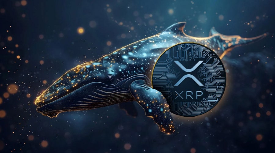 انباشت ۱۴۰ میلیون ریپل توسط نهنگ‌ها! روند صعودی XRP از سر گرفته می‌شود؟