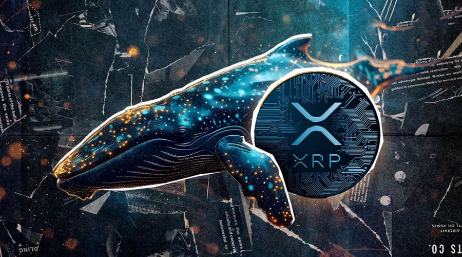 نهنگ‌ها ۵۲۶ میلیون دلار ریپل خریدند! پیش‌بینی‌های جدید از اهداف قیمت XRP