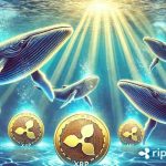 خرید یک میلیارد XRP توسط نهنگ‌ها؛ آیا ریپل از اتریوم پیشی می‌گیرد؟