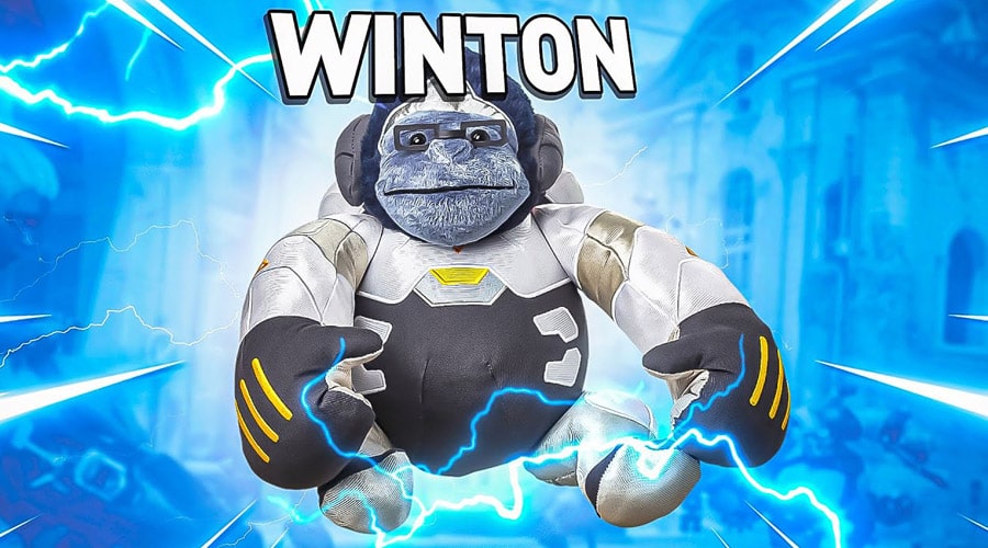 وینتون گوریل، پدیده جدید بازار میم‌کوین‌ها یا تله‌ای دیگر برای کلاهبرداری؟