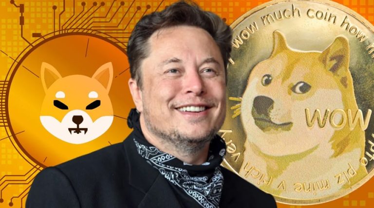 وداع احتمالی ایلان ماسک با D.O.G.E؛ فرصتی تاریخی برای درخشش شیبا اینو؟!