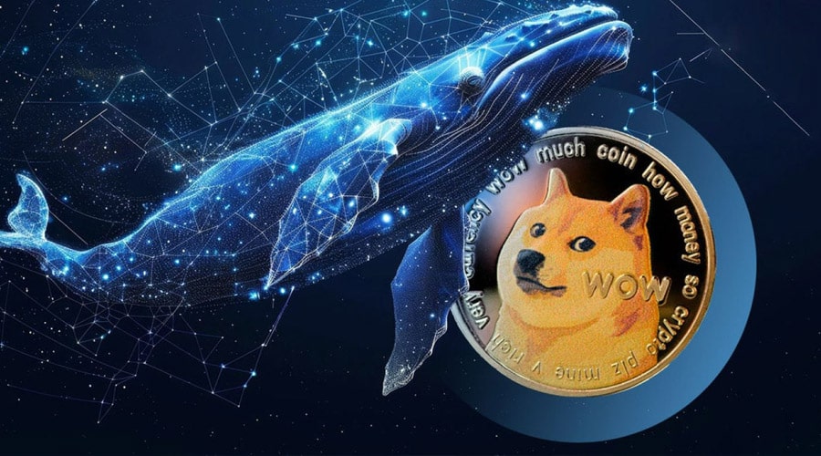 جابجایی صدها میلیون دوج‌کوین؛ نهنگ‌ها برای جهش بزرگ DOGE آماده می‌شوند!