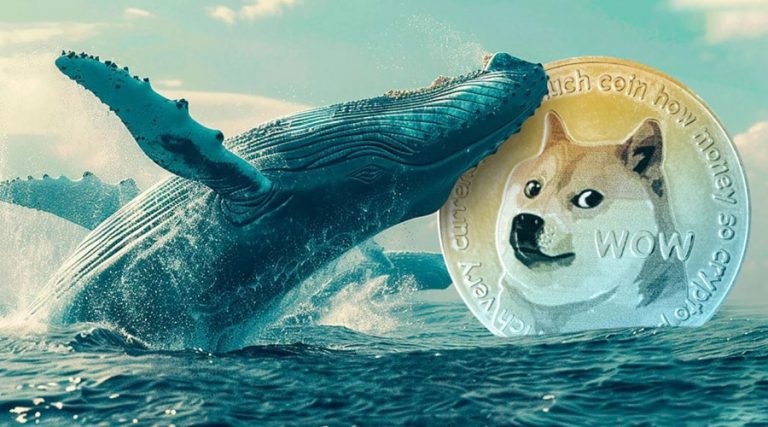 خیز دوج‌کوین برای رشد ۳ برابری؛ خرید میلیاردی نهنگ‌ها امیدها را زنده کرد!