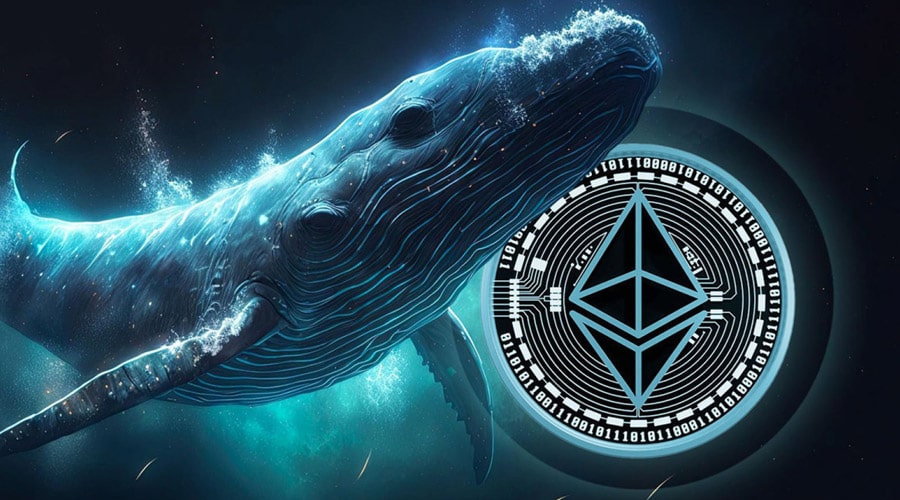 برداشت میلیونی اتریوم از صرافی‌ها توسط نهنگ‌ها؛ زنگ صعود ETH به صدا درآمد!