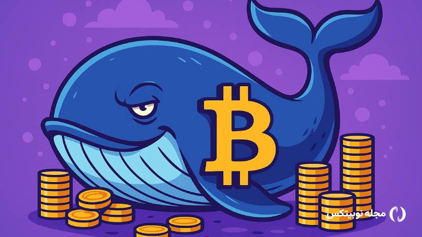 یک معامله‌گر با خرید بیت کوین و اهرم ۴۰ برابری ۳۶ میلیون دلار سود کرد!