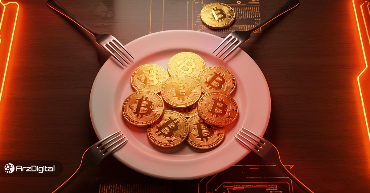 فورک بیت کوین چیست؟ بررسی مهم‌ترین فورک های بیت کوین