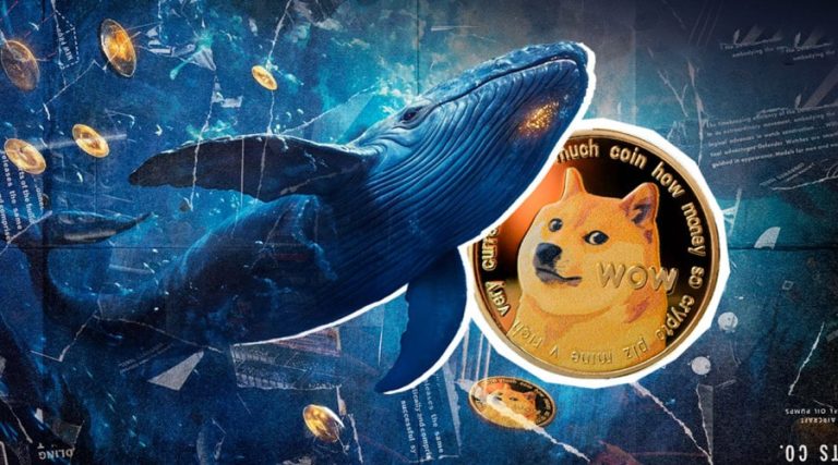 نهنگ‌های دوج‌کوین در کمین رشد؛ خرید یک میلیارد DOGE در حمایت کلیدی!