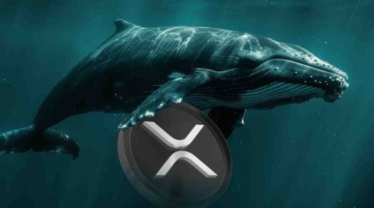 شرط‌بندی ۶ میلیون دلاری نهنگ‌ بزرگ روی ریپل! قیمت XRP آماده انفجار است؟