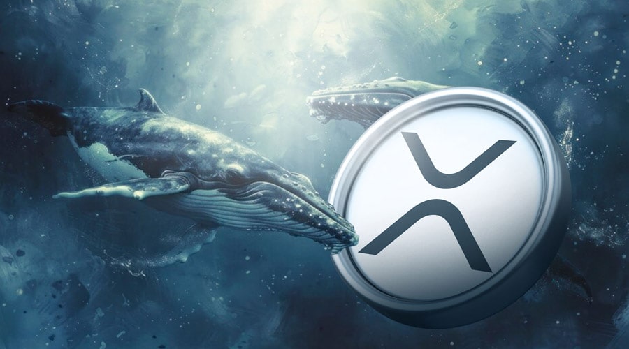 ۲۳۷ میلیون دلار ریپل جابه‌جا شد، اما قیمت تغییری نکرد! داستان چیست؟