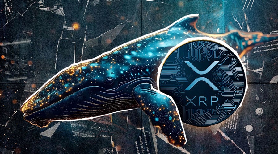 ریپل در آستانه بازگشت به اوج؛ نهنگ‌ها ۲۰۰ میلیون XRP را انباشت کردند!