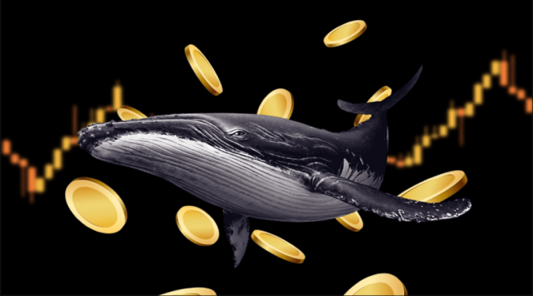 موج جدید خرید نهنگ‌ها شروع شد؛ ۳ رمزارز برنده آتش‌بس ایران و اسرائیل!