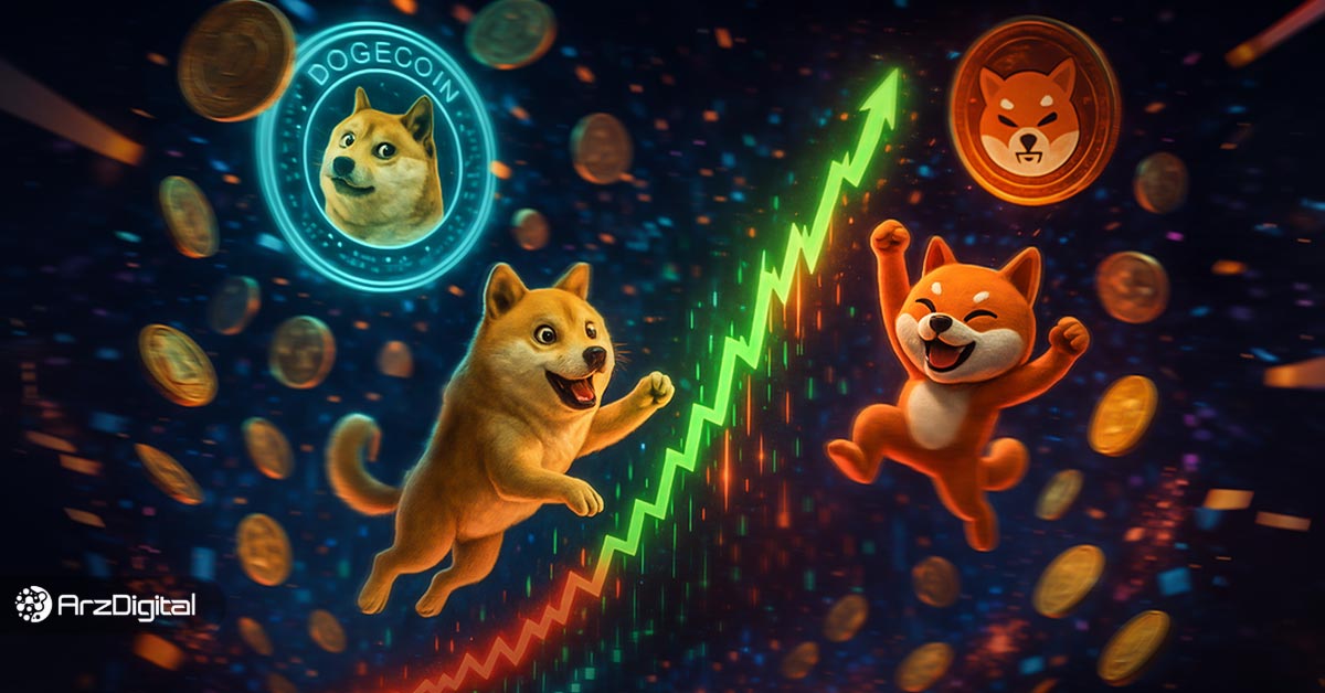 میم کوین سیزن چیست؟ چگونه فصل میم کوین را تشخیص دهیم