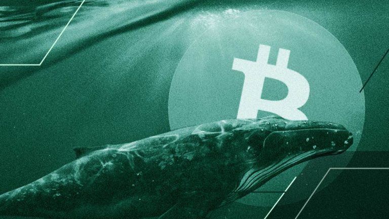 بیدار شدن نهنگ قدیمی بیت کوین، بازار را به لرزه انداخت