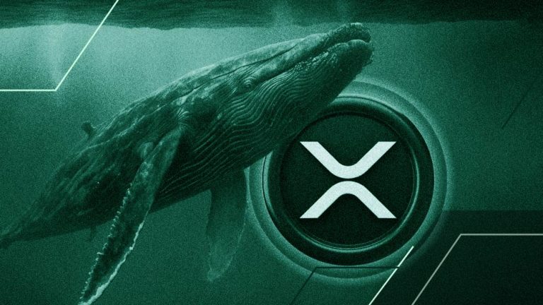 پشت پرده چه خبر است؟