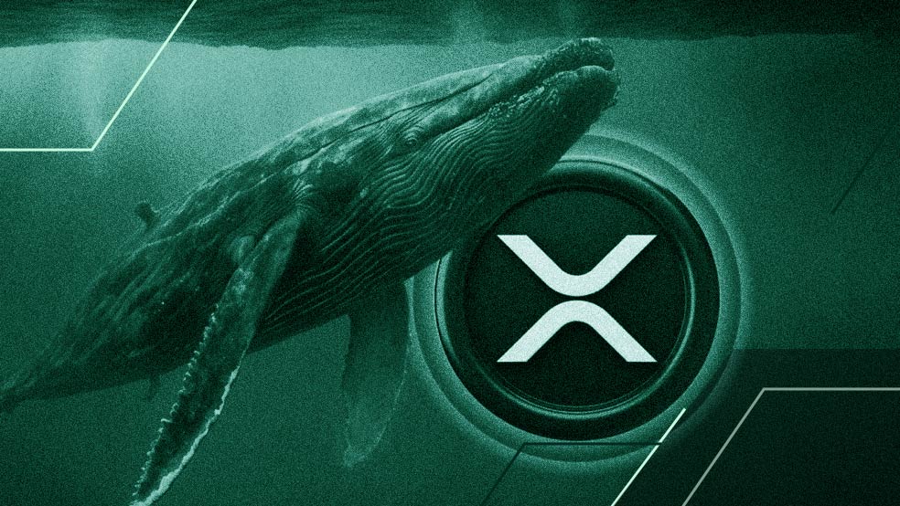 پشت پرده چه خبر است؟