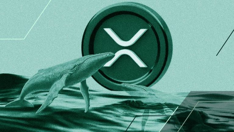 همه چیز برای جهش ریپل (XRP) مهیاست؛ نهنگ‌ها به بازار بازگشتند