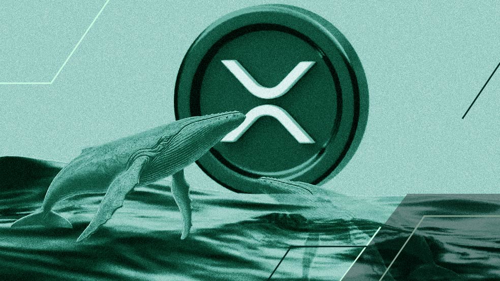 همه چیز برای جهش ریپل (XRP) مهیاست؛ نهنگ‌ها به بازار بازگشتند
