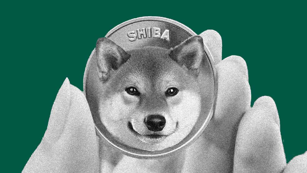 آیا خطر در کمین شیبا اینو است؟ تقاطع مرگ نادری در راه است