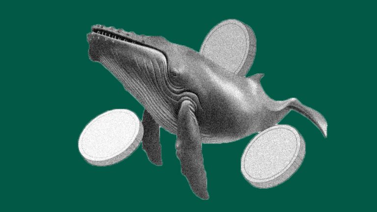 3 رمزارزی که در تیرماه 1404 چشم نهنگ‌ها را گرفته است