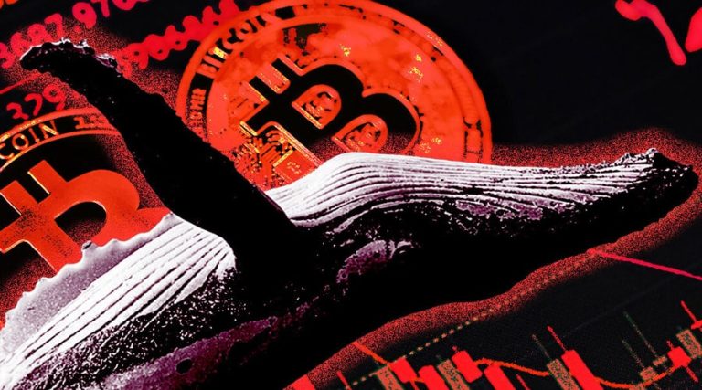 ریزش رمزارزها با وجود خریدهای میلیاردی؛ نهنگ‌ها چه سیگنالی به بازار می‌دهند؟