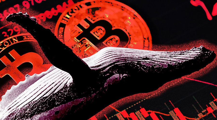 ریزش رمزارزها با وجود خریدهای میلیاردی؛ نهنگ‌ها چه سیگنالی به بازار می‌دهند؟