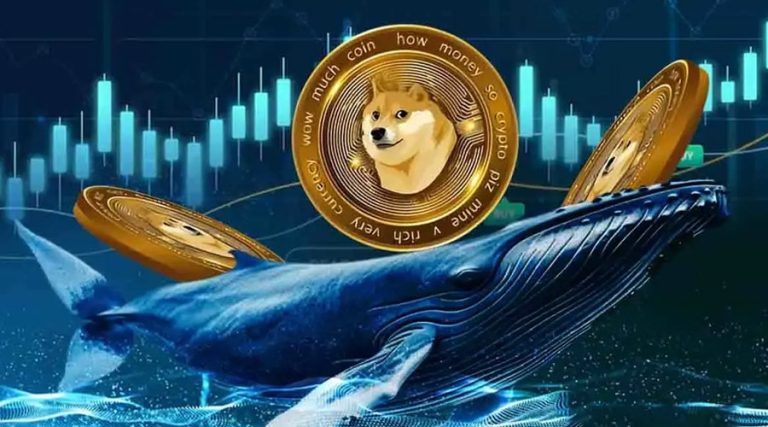 تقابل نهنگ‌ها و فروشندگان خرد؛ دوج‌کوین در آستانه جهش یا سقوط؟
