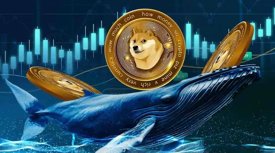 تقابل نهنگ‌ها و فروشندگان خرد؛ دوج‌کوین در آستانه جهش یا سقوط؟