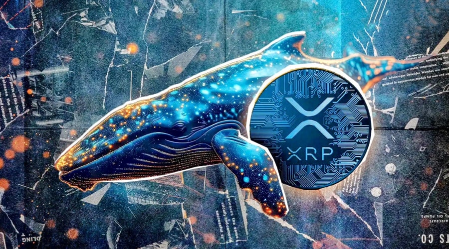 خرید ۱۳۰ میلیون XRP توسط نهنگ‌ها؛ موج سوم صعودی در راه است؟