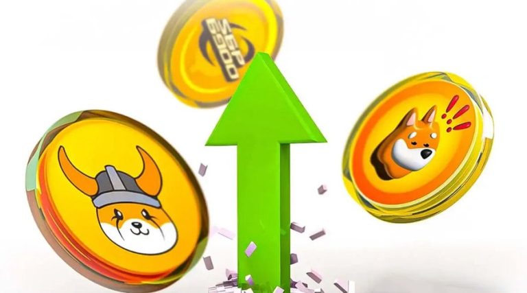 فلوکی و بونک در خط مقدم رشد! چرا بازار میم‌کوین‌ها دوباره داغ شده؟