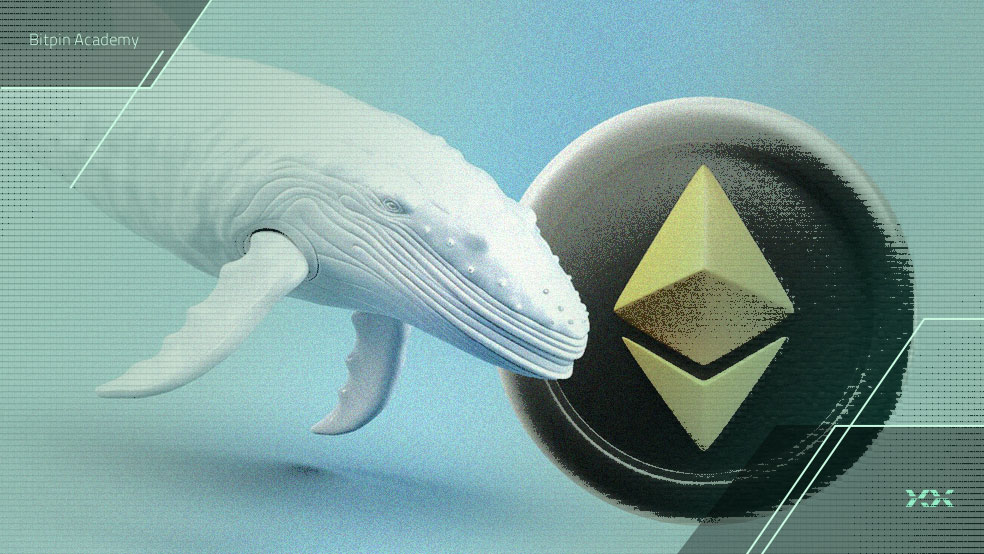 اتریوم در یک قدمی سقف تاریخی؛ دو دستگی در رفتار نهنگ‌ها