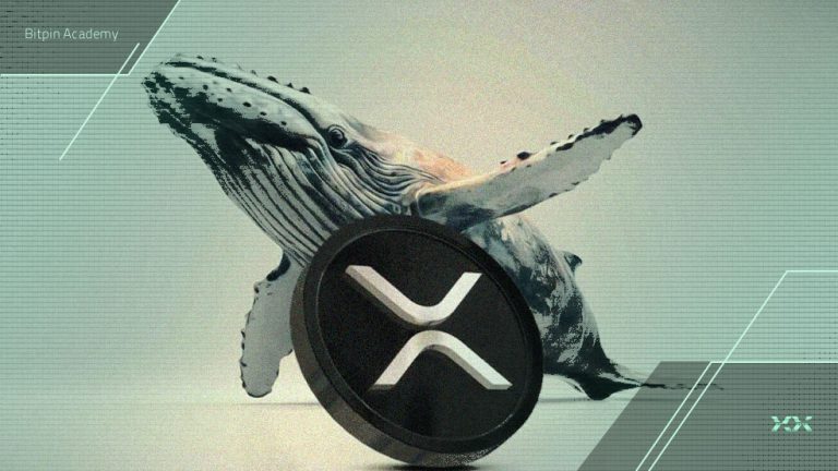 نبرد نهنگ‌ها و سرمایه‌گذاران کوچک؛ سرنوشت ریپل (XRP) چه می‌شود؟