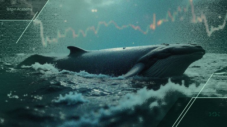 نهنگ‌ها کدام آلت کوین‌ها را در زمان ریزش بازار خریدند؟