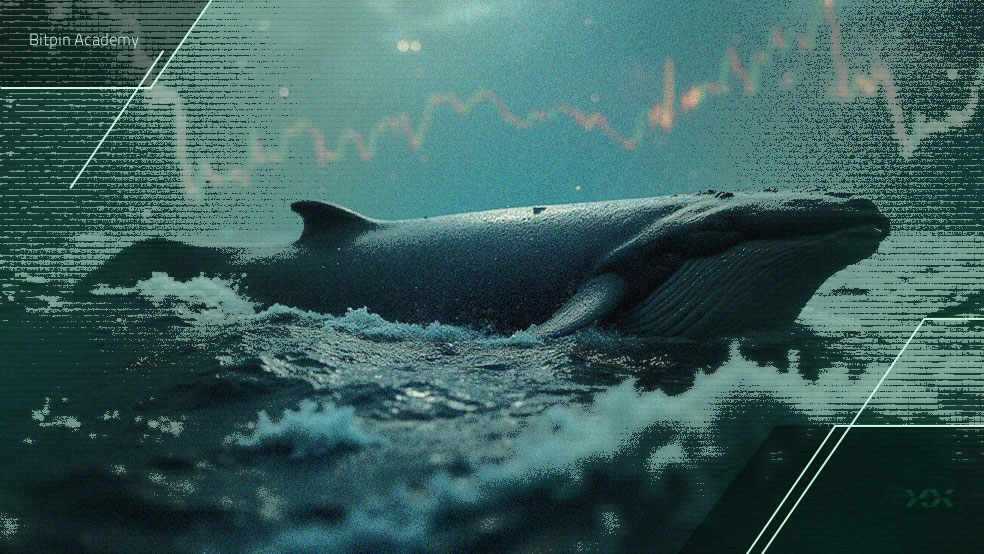 نهنگ‌ها کدام آلت کوین‌ها را در زمان ریزش بازار خریدند؟