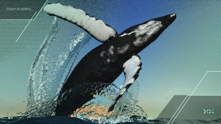 بعد از سخنرانی پاول، نهنگ‌ها کدام آلت کوین‌ها را خریدند؟