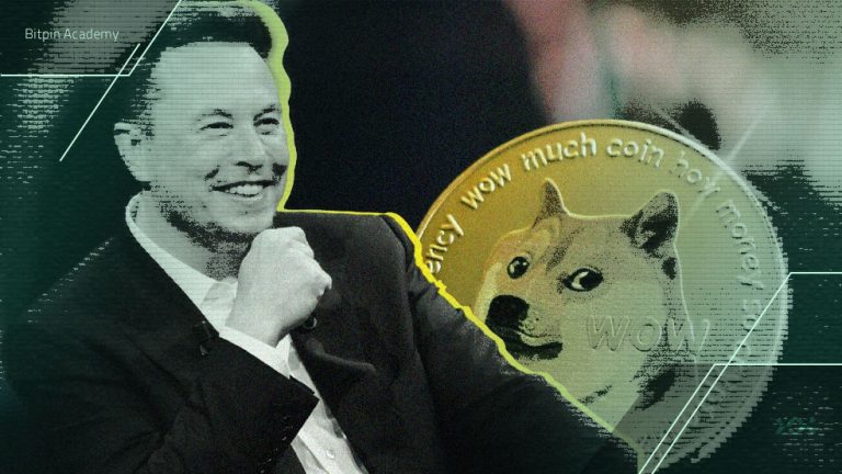 وکیل ایلان ماسک رئیس خزانه ۲۰۰ میلیون دلاری دوج کوین شد