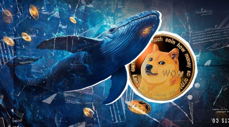 انباشت میلیاردی دوج‌کوین در سکوت بازار؛ نهنگ‌ها برای چه اتفاقی آماده می‌شوند؟