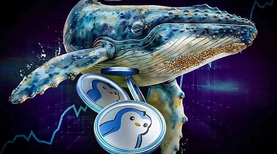 نهنگ‌ها در ۵ روز ۱ میلیارد PENGU خریدند! پاجی پنگوئنز دوباره اوج می‌گیرد؟