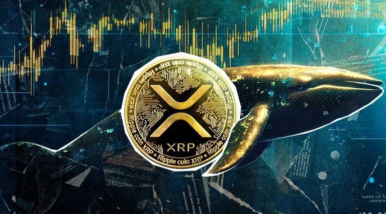 ۹۰۰ میلیون XRP در ۴۸ ساعت! نهنگ‌های ریپل چه نقشه‌ای در سر دارند؟