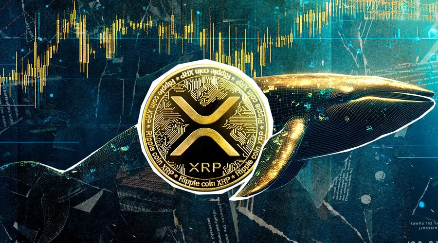 ۹۰۰ میلیون XRP در ۴۸ ساعت! نهنگ‌های ریپل چه نقشه‌ای در سر دارند؟