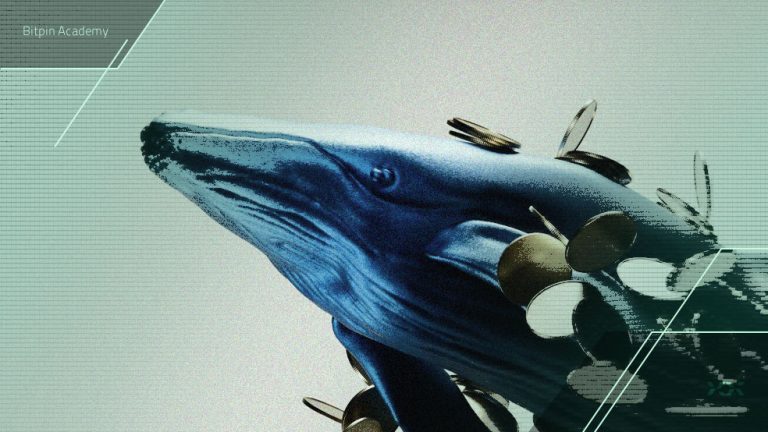پشت پرده خرید میلیون دلار آلت کوین توسط نهنگ‌ها چیست؟