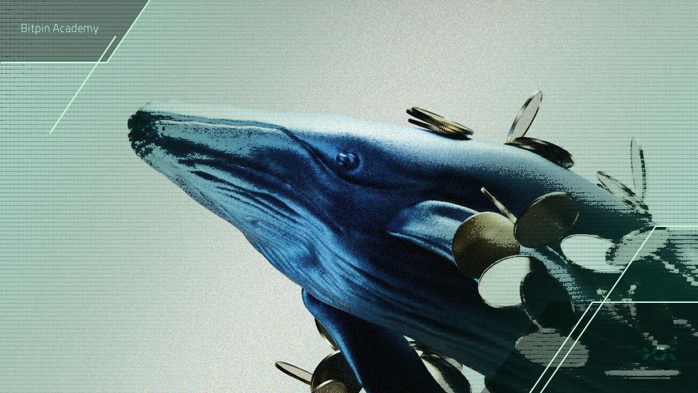 پشت پرده خرید میلیون دلار آلت کوین توسط نهنگ‌ها چیست؟