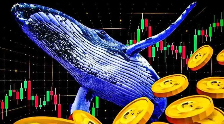 هجوم نهنگ‌ها برای خرید DOGE؛ مقاومت ۰.۲۳ دلار شکسته می‌شود؟