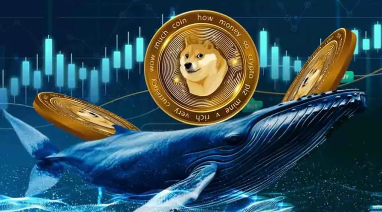 از انباشت ۱۶۱ میلیون دلاری تا جهش ۹ درصدی؛ تحلیل مسیر بعدی DOGE!