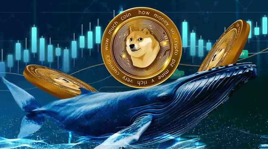 از انباشت ۱۶۱ میلیون دلاری تا جهش ۹ درصدی؛ تحلیل مسیر بعدی DOGE!