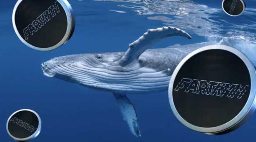 جهش ۳۰ درصدی فارت‌کوین با حمایت نهنگ‌ها! هنوز هم فرصت ورود و کسب سود هست؟