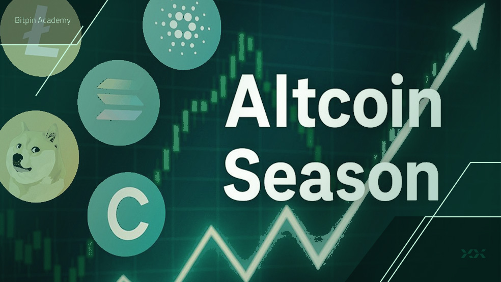 کاهش ۵۰ درصدی جستجوی آلت سیزن، آیا فصل آلت کوین ها به پایان رسید؟