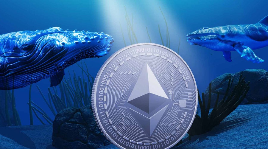 انباشت میلیاردی نهنگ‌ ناشناس همزمان با صعود اتریوم! در پشت پرده بازار چه خبر است؟