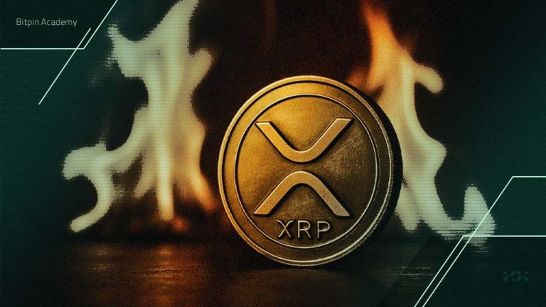 ۱٫۵ میلیون تراکنش در کمتر از ۲۴ ساعت