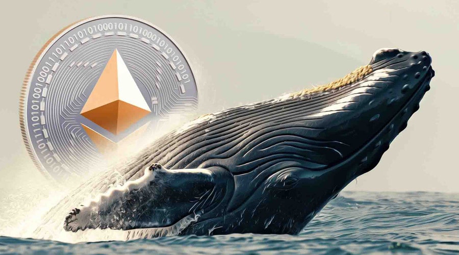 شکار فرصت توسط نهنگ‌های اتریوم؛ صدها میلیون دلار ETH در کف قیمت انباشت شد!